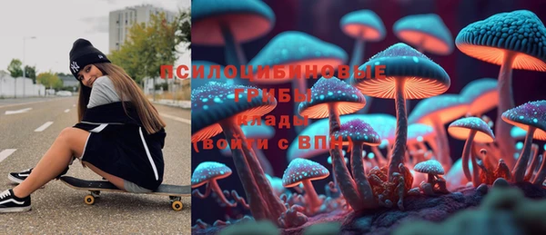 хмурый Алексеевка