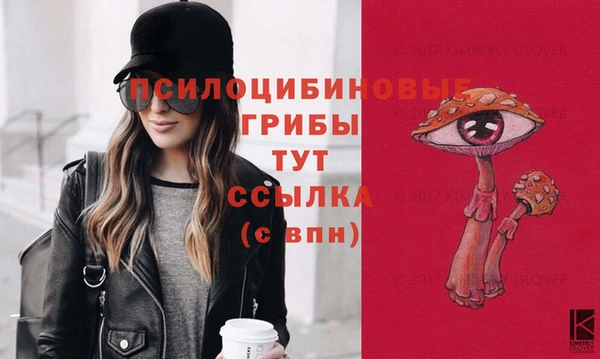 mdpv Алексин