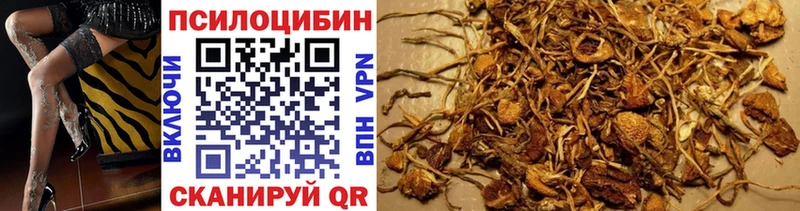 Галлюциногенные грибы Magic Shrooms Тихвин