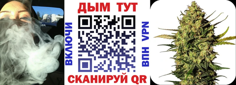 Бошки Шишки Amnesia  ОМГ ОМГ   Тихвин 